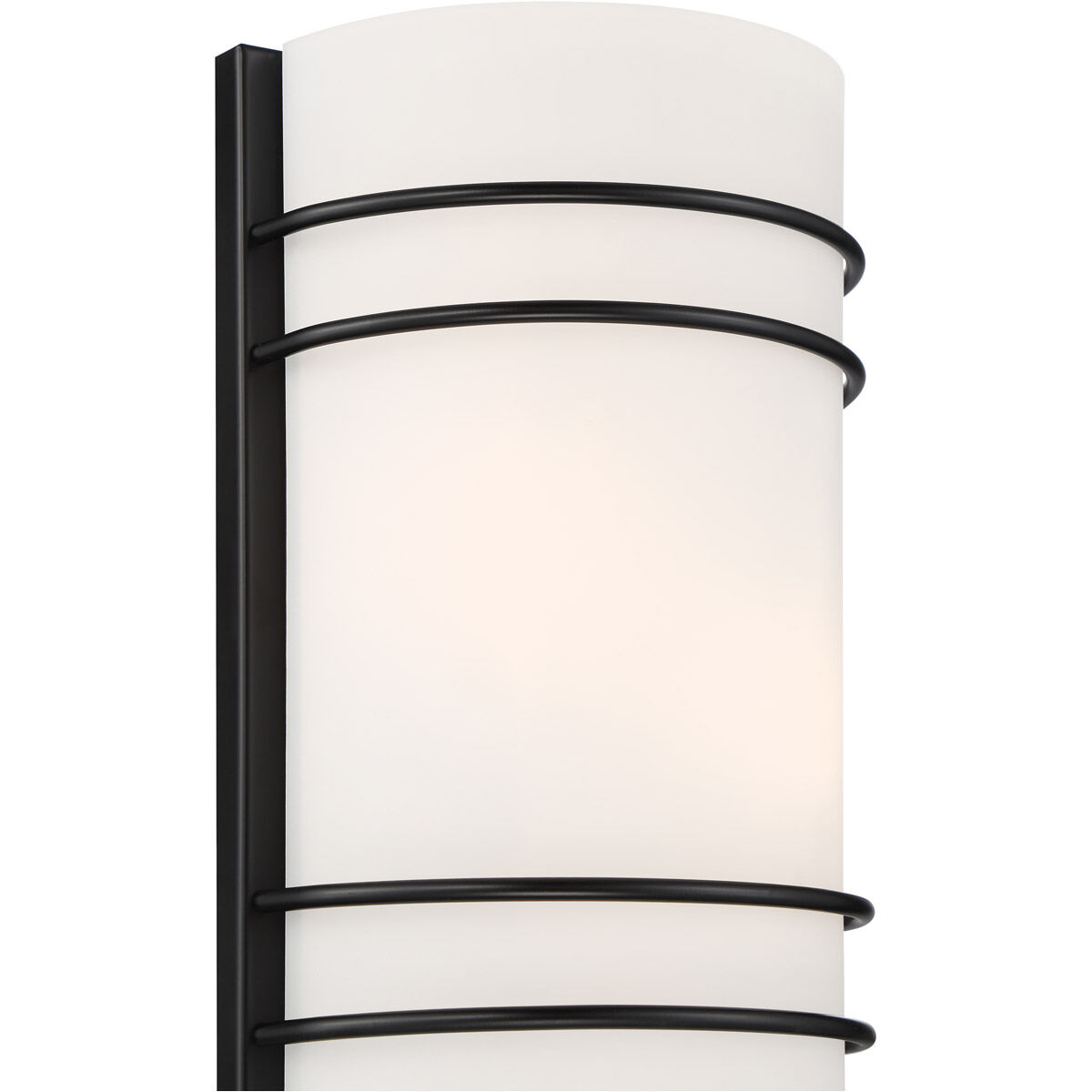 Cassi Wall Sconce Wall Light in Matte Black